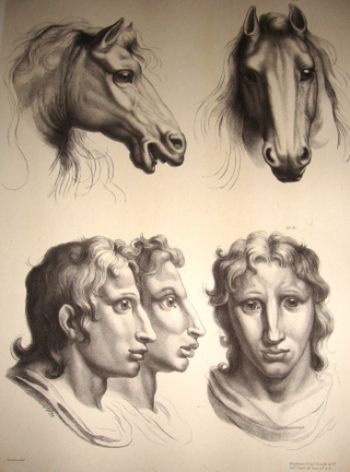 Illustration for article titled Baroque-Era Drawings Reveal Early Ideas About Evolution